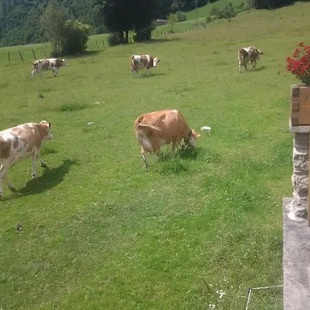Behamhof Apartmán