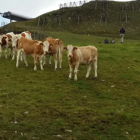 Appartement Behamhof Neukirchen am Großvenediger