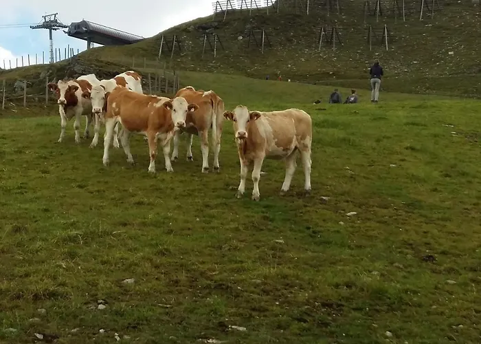 Lägenhet Behamhof Neukirchen am Großvenediger